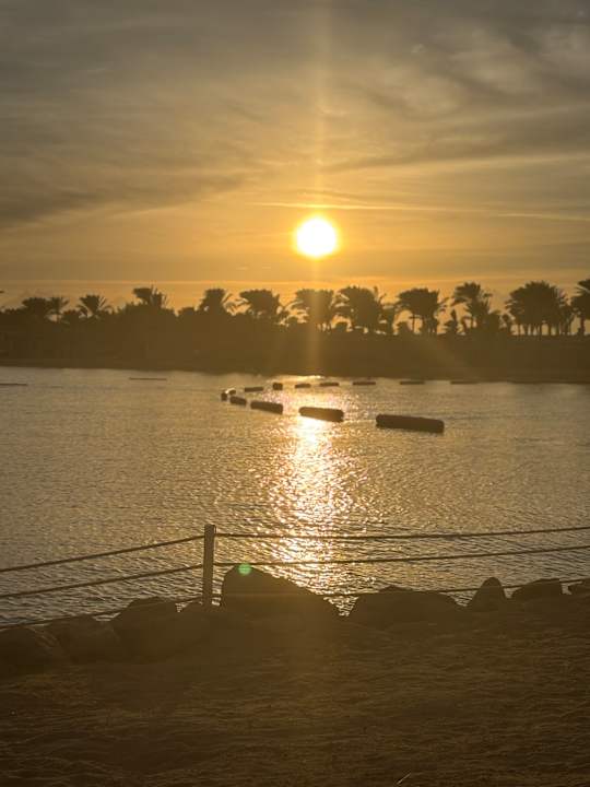 Ausblick Desert Rose