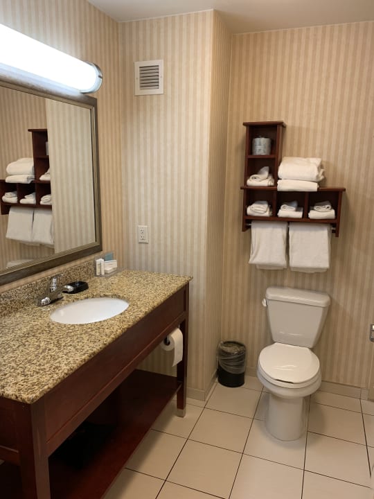 Zimmer Hampton Inn Detroit/Southgate