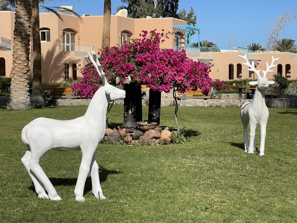 Gartenanlage Club Paradisio El Gouna, Red Sea