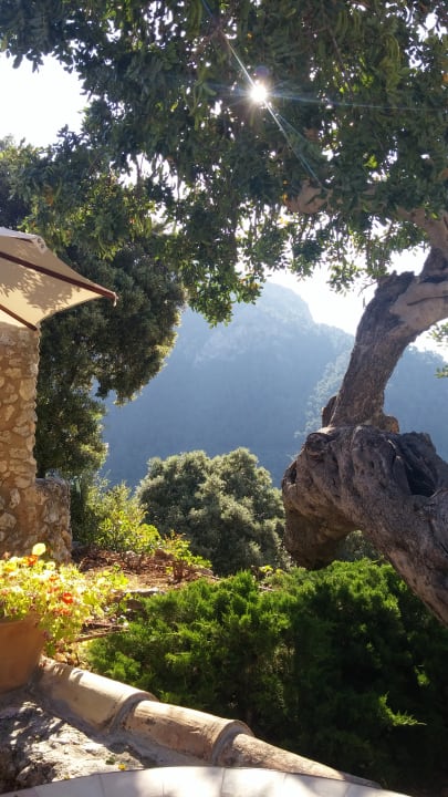 Gartenanlage Finca Hotel Albellons Parc Natural