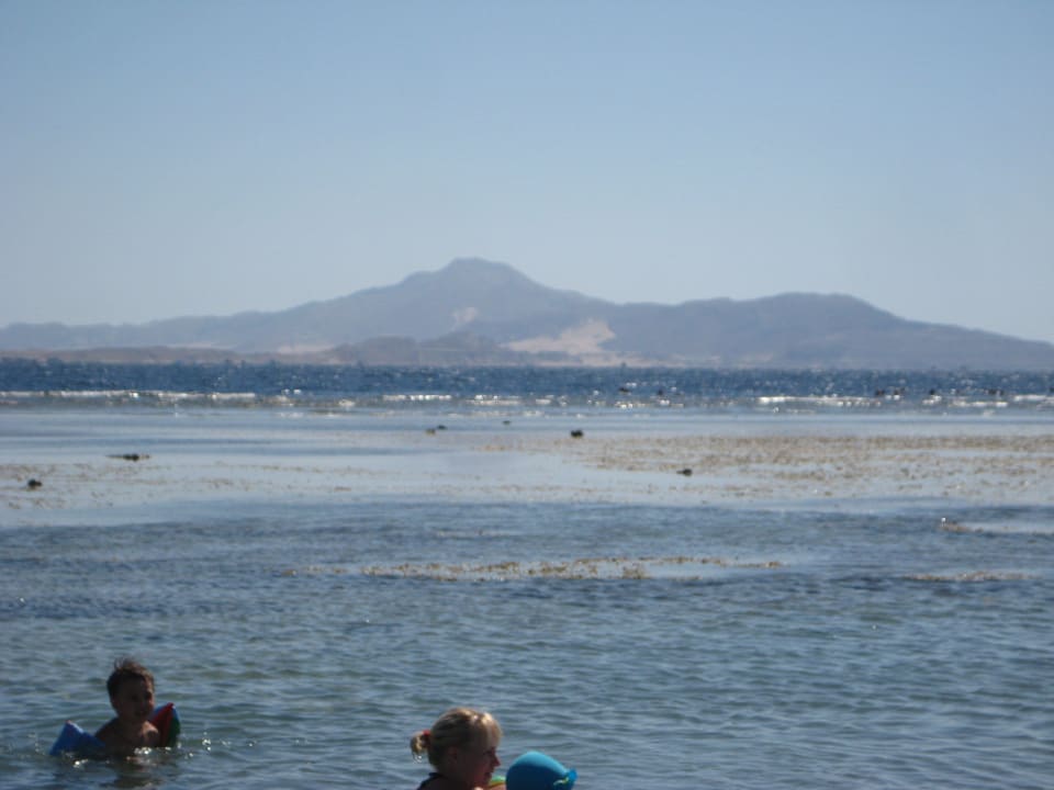Blick auf die Insel Tiran Parrotel Beach Resort