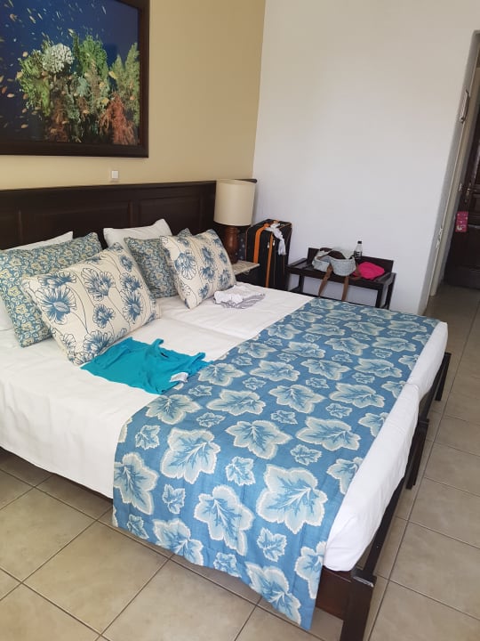 Zimmer 303 Albatros Spa & Resort Hotel