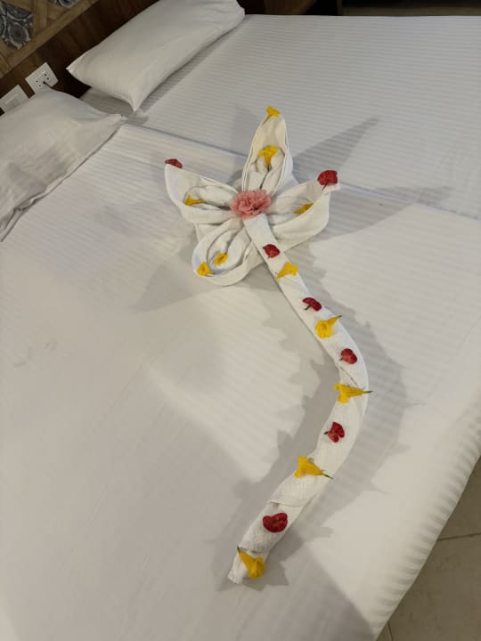 Zimmer Lazuli Hotel Marsa Alam