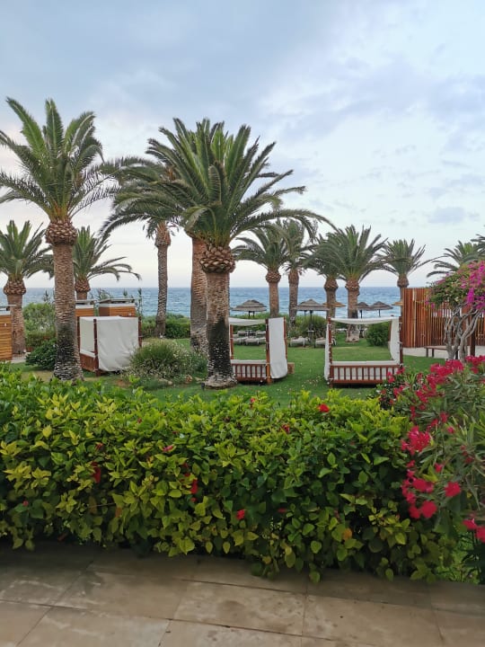 Gartenanlage Hotel Alion Beach