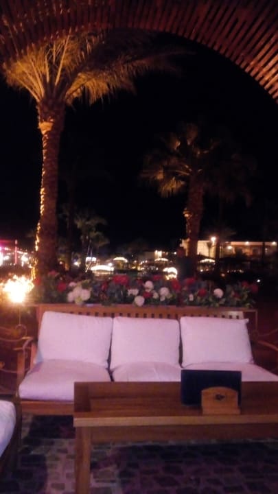 Sonstiges Desert Rose