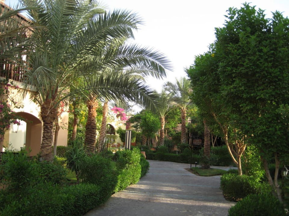 Anlage Jaz Makadi Saraya Resort