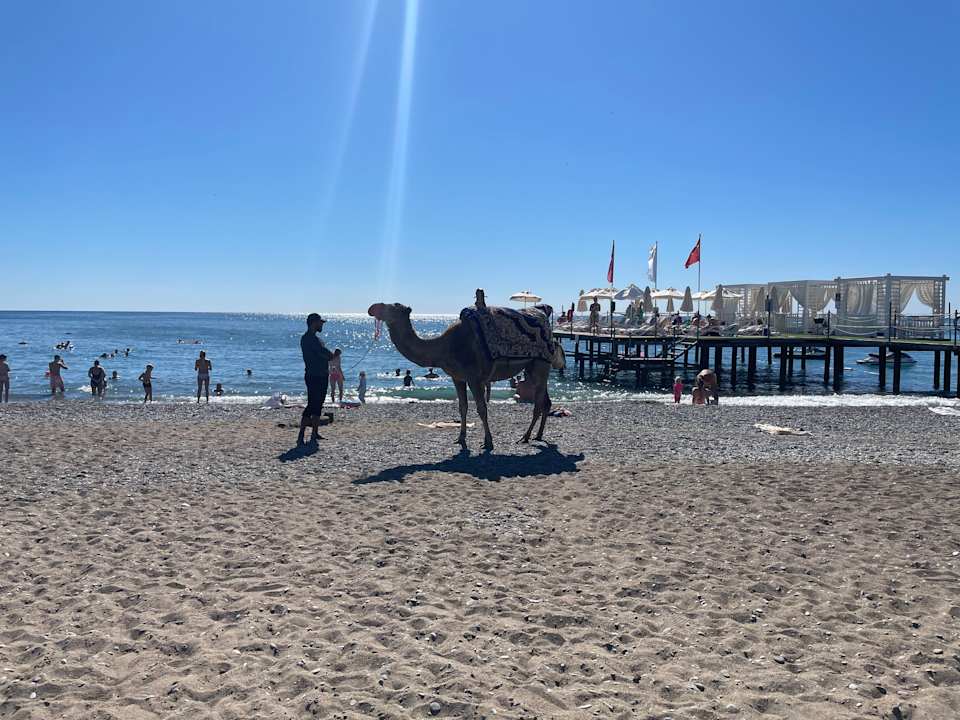 Strand Belek Beach Resort Hotel