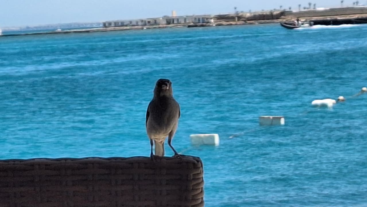 Strand The Grand Palace - Adults only