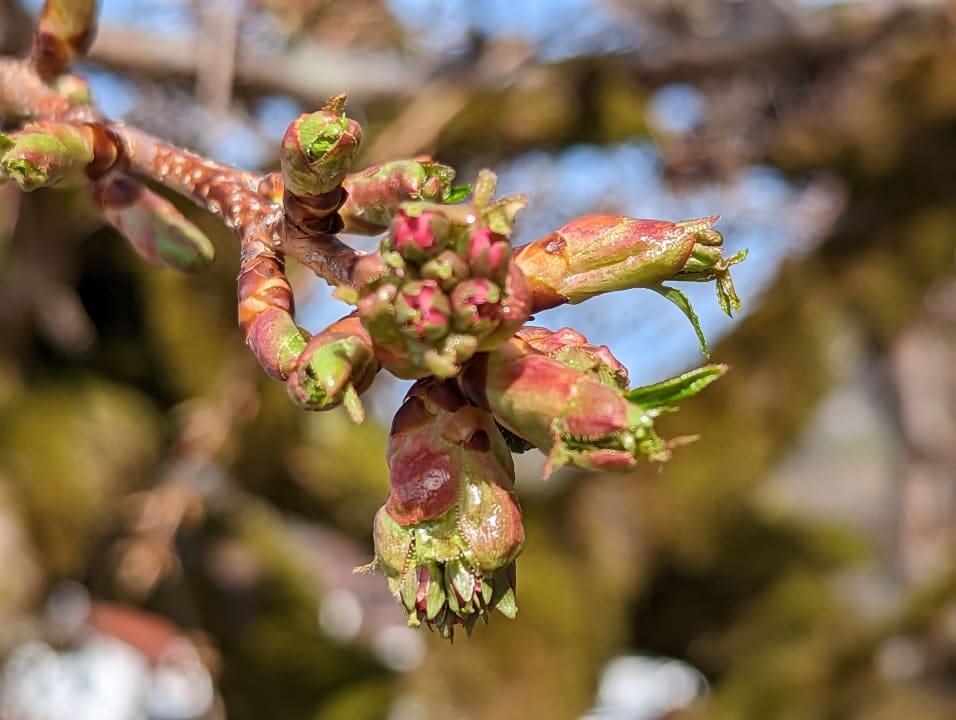 Gartenanlage Landhaus Meine Auszeit