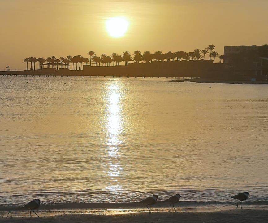 Strand Brayka Bay Resort