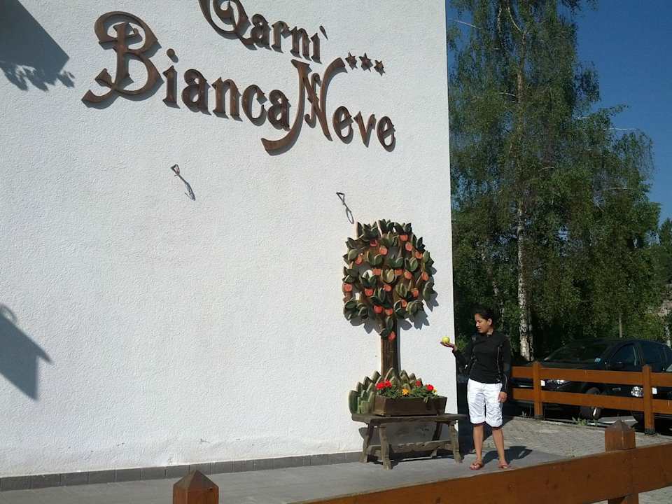 Garnì Biancaneve (dettaglio facciata principale) Hotel Garni Biancaneve