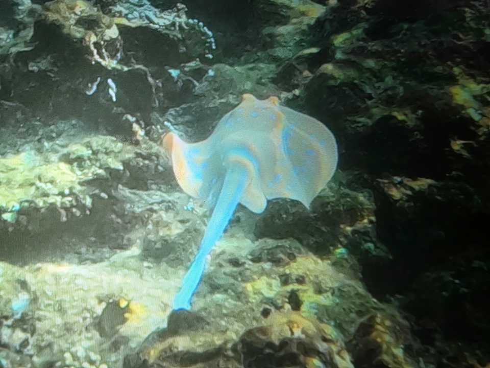 Strand Albatros Makadi Resort