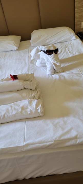 Zimmer Delphin Deluxe Resort