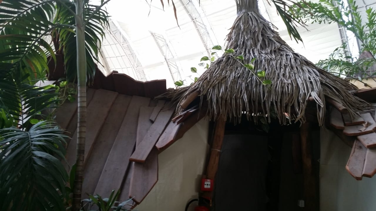 Zimmer Tropical Islands Resort