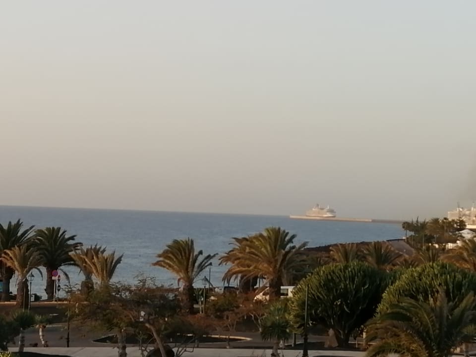 Ausblick allsun App.-Hotel Albatros