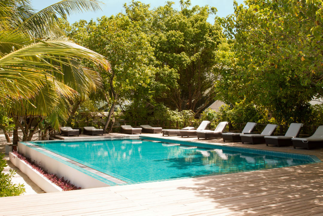 Pool Eri Maldives