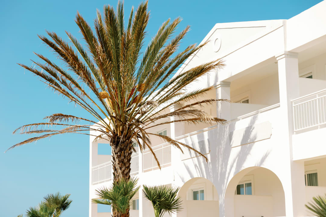 Sonstiges Sandy Beach Resort