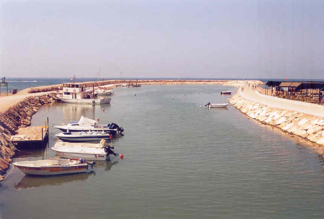 Neuer Hafen Hane Family Resort