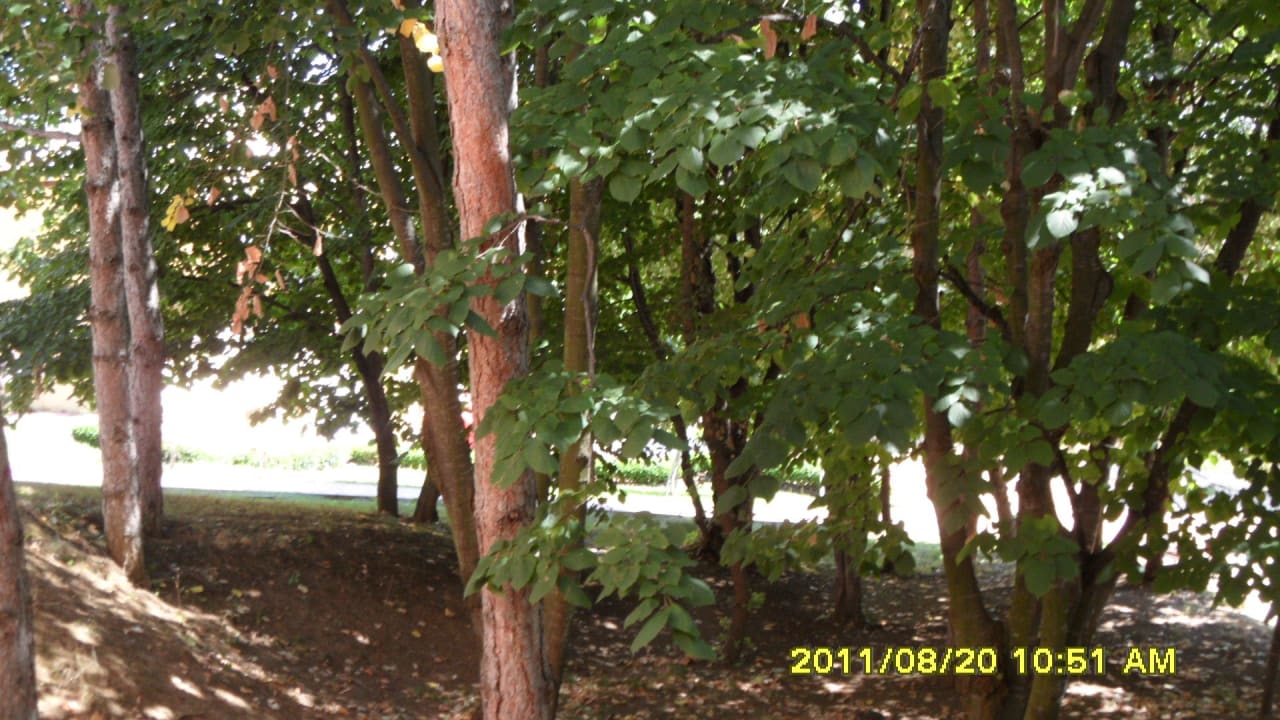 Vom Balkon Duni Royal Holiday Village