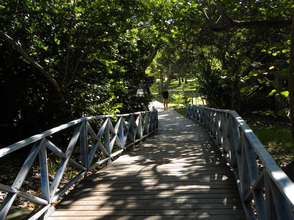 Zugang zum Meer Melia Las Antillas - Adults only