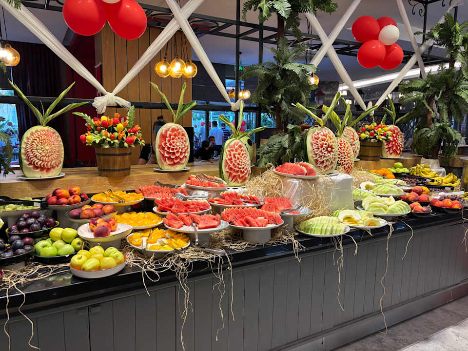 Gastro Seashell Vega