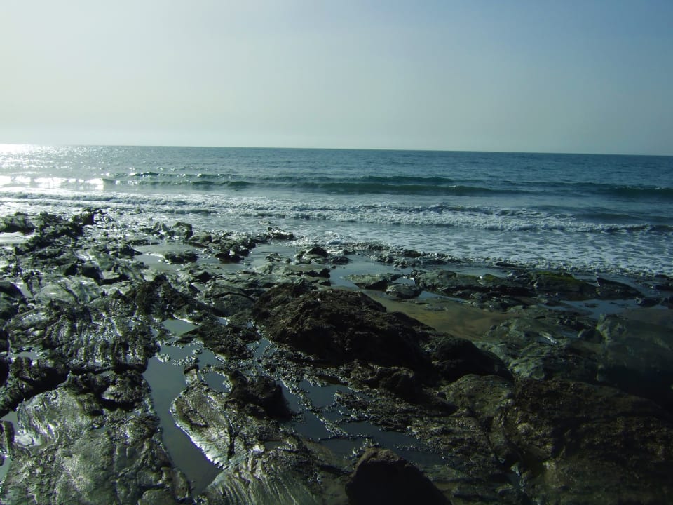 Strand Bull Costa Canaria & Spa - Adults only