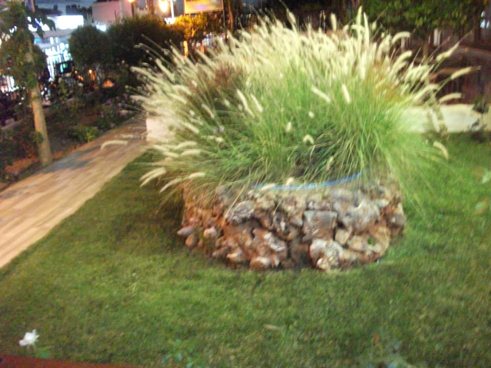 Außenansicht Hotel Malia Holidays