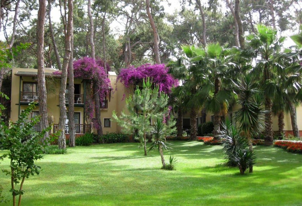 Weg zum Strand Turquoise Hotel