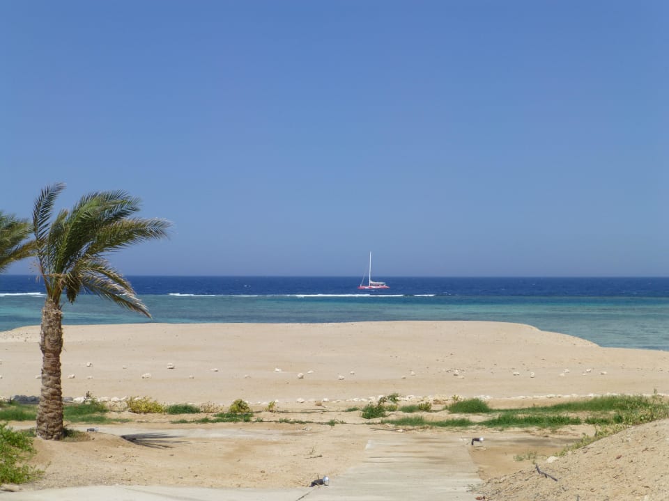 Strand von der Terrasse aus Three Corners Fayrouz Plaza Beach Resort