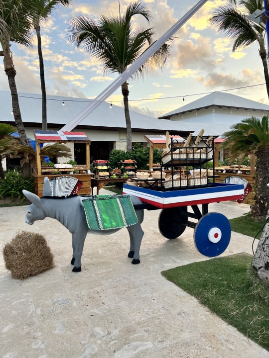 Gastro Excellence Punta Cana - Adults only