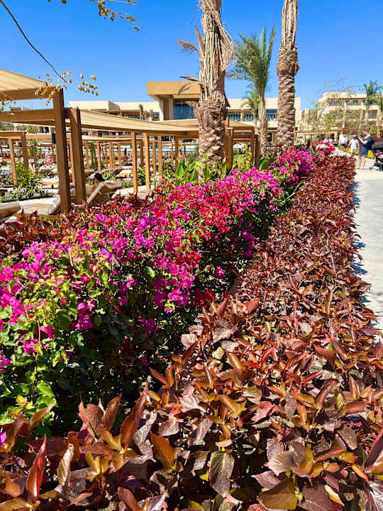 Gartenanlage JAZ Elite Riviera
