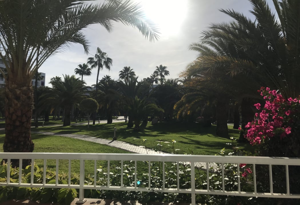 Gartenanlage Hotel Riu Gran Canaria