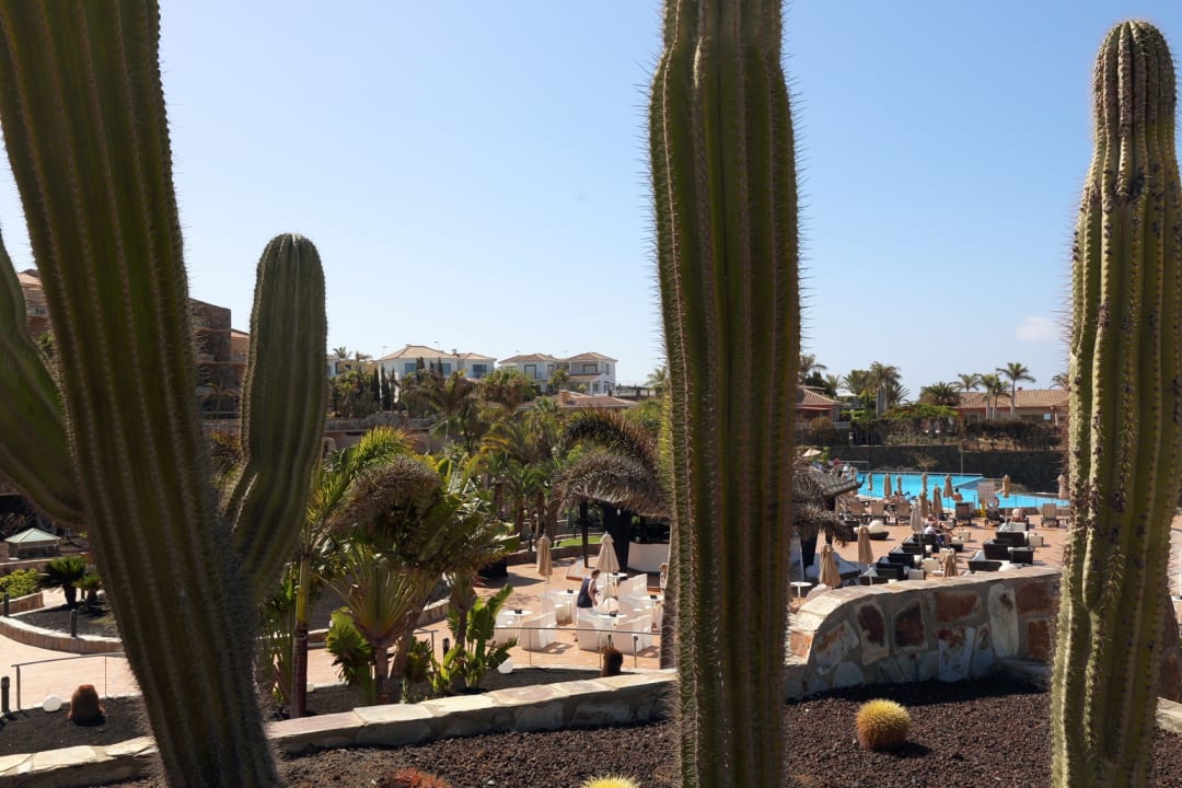 Pool H10 Playa Meloneras Horizons Collection