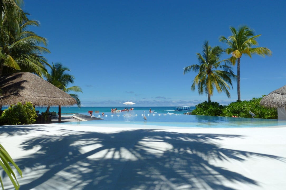 Infinity Pool Kuramathi Maldives