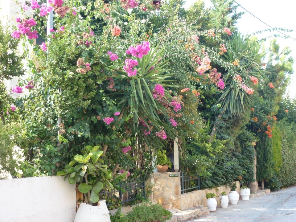 Ferienhaus Cactus Beach