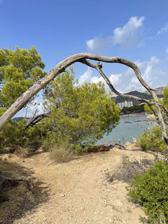 Ausblick Paguera Treff Boutique Hotel