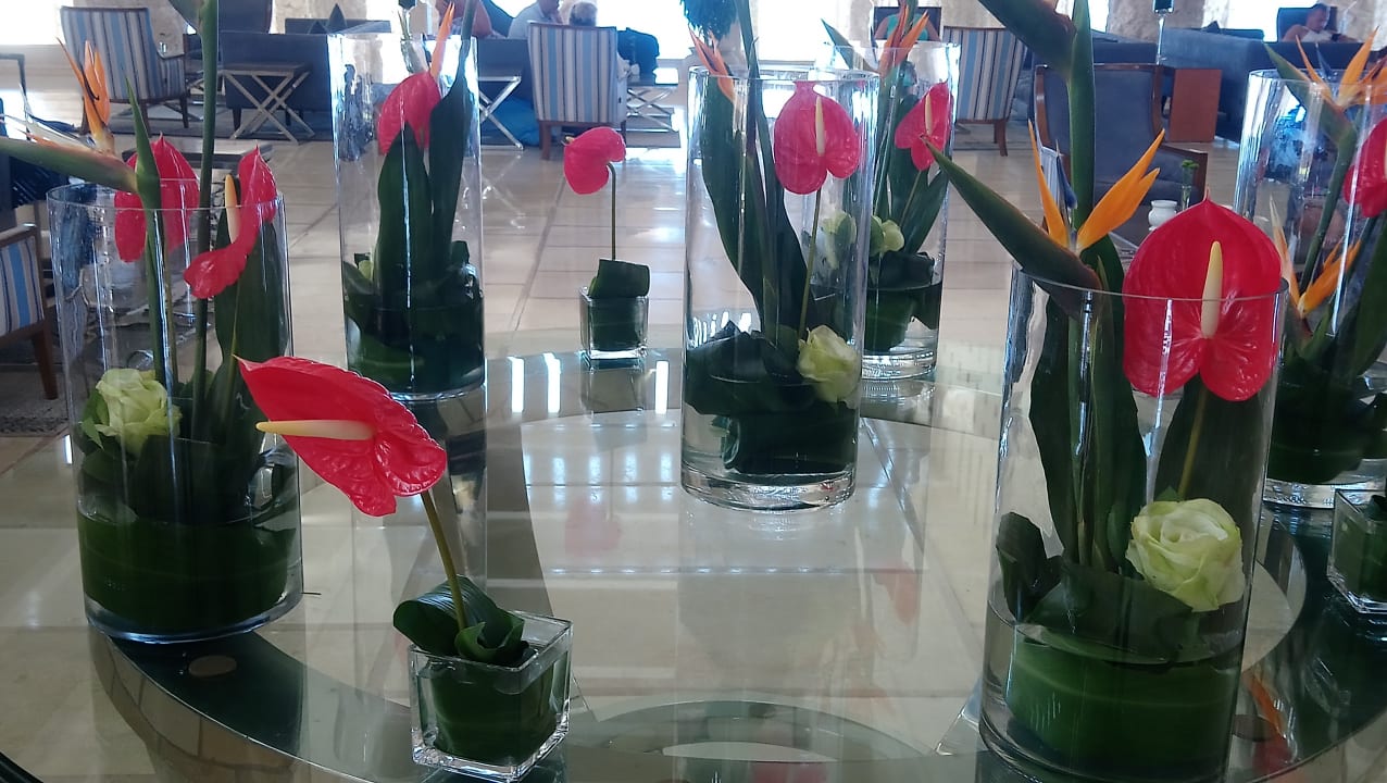 Sonstiges Der schöne Asten - Resort Winterberg