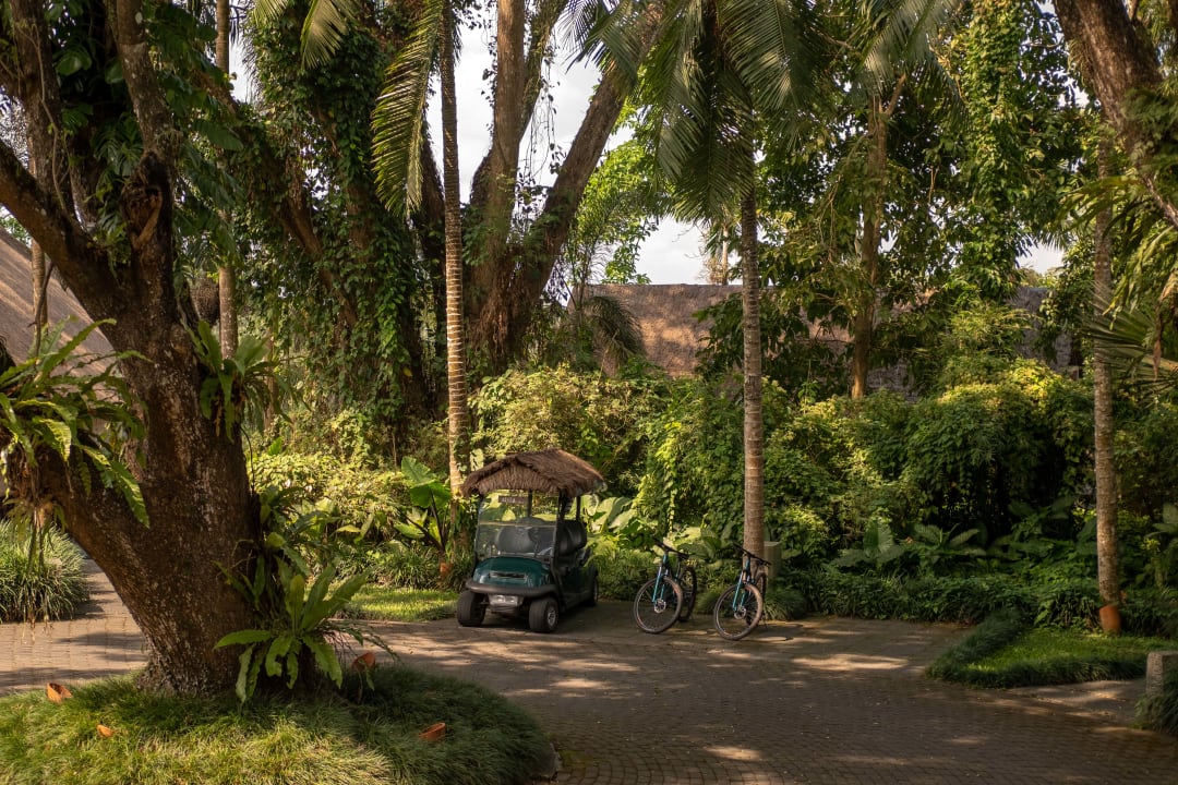 Gartenanlage Hotel Alila Ubud