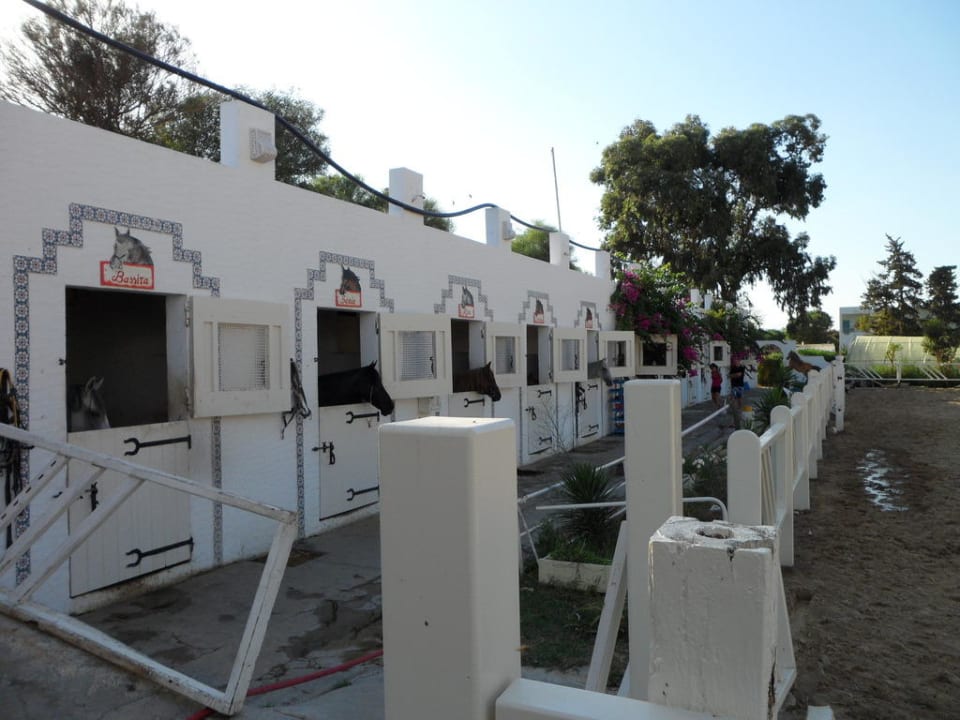 Hoteleigener Reitstall The Orangers Beach Resort and Bungalows