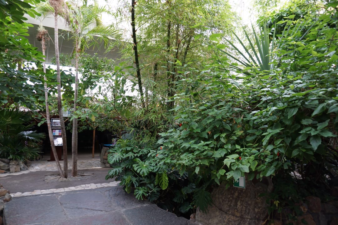 Lobby Center Parcs Het Meerdal