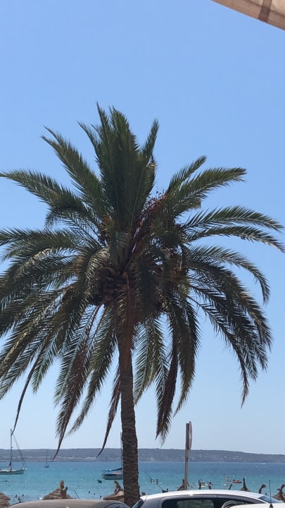 Ausblick JS Palma Stay