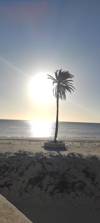 Ausblick Hotel El Mouradi Djerba Menzel