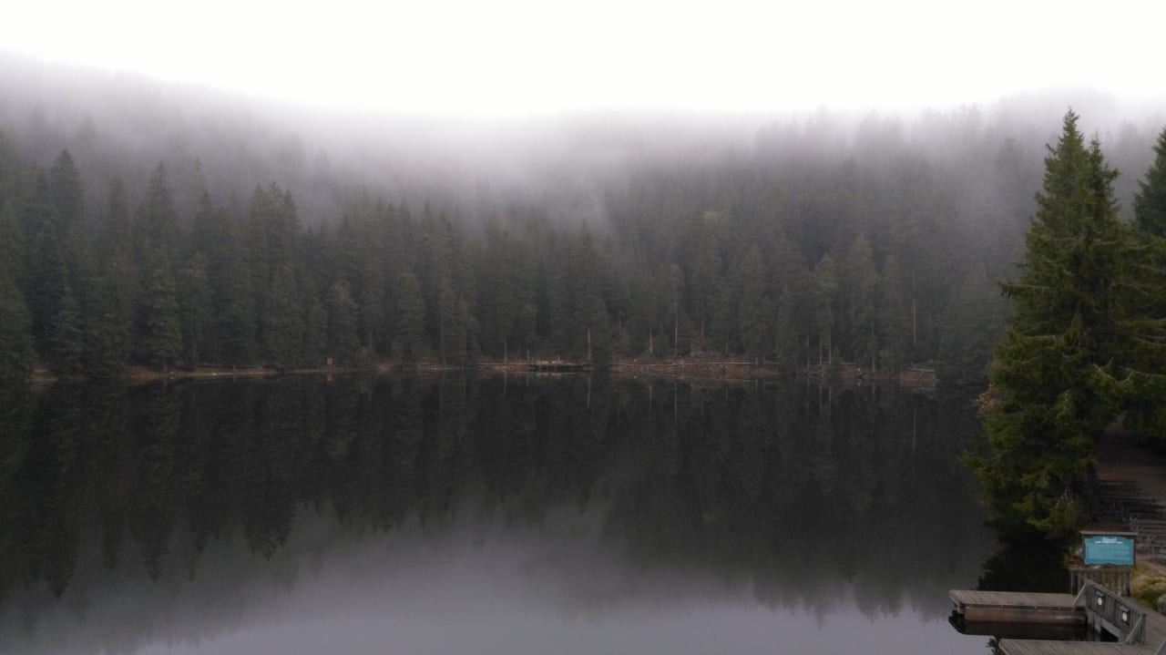 Ausblick Berghotel Mummelsee