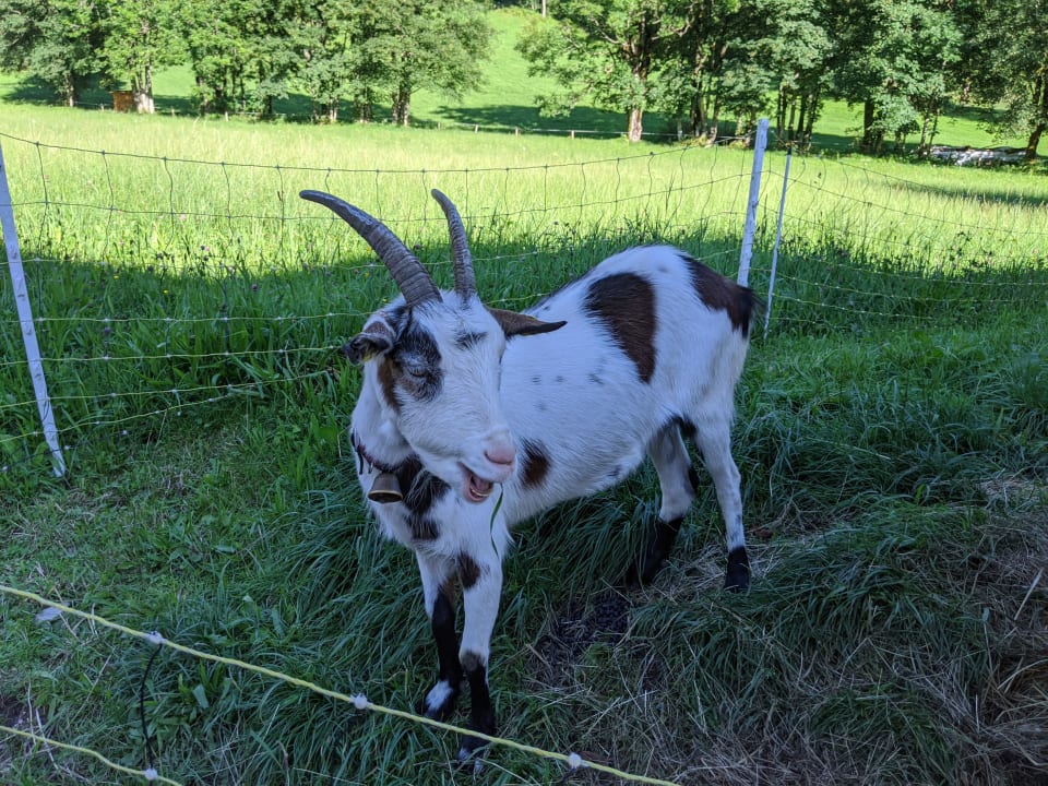 Sonstiges Bauernhof Vorderoberlehen
