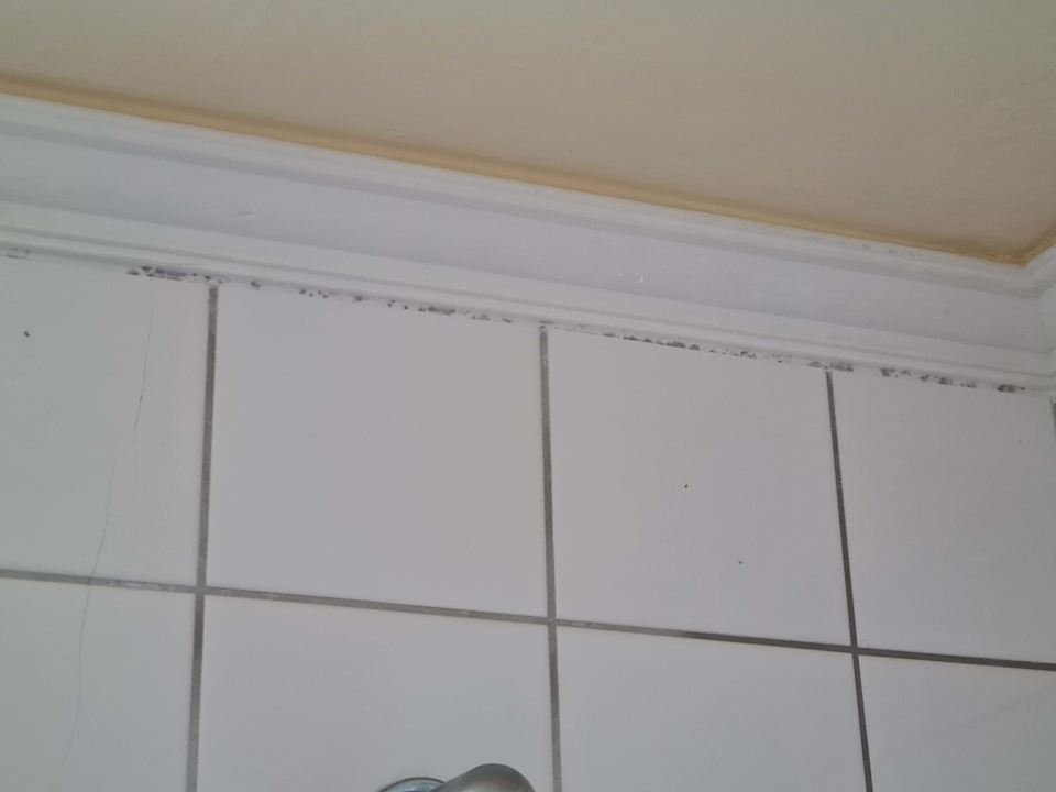 Zimmer Panoramahotel Gasthof Schönberger