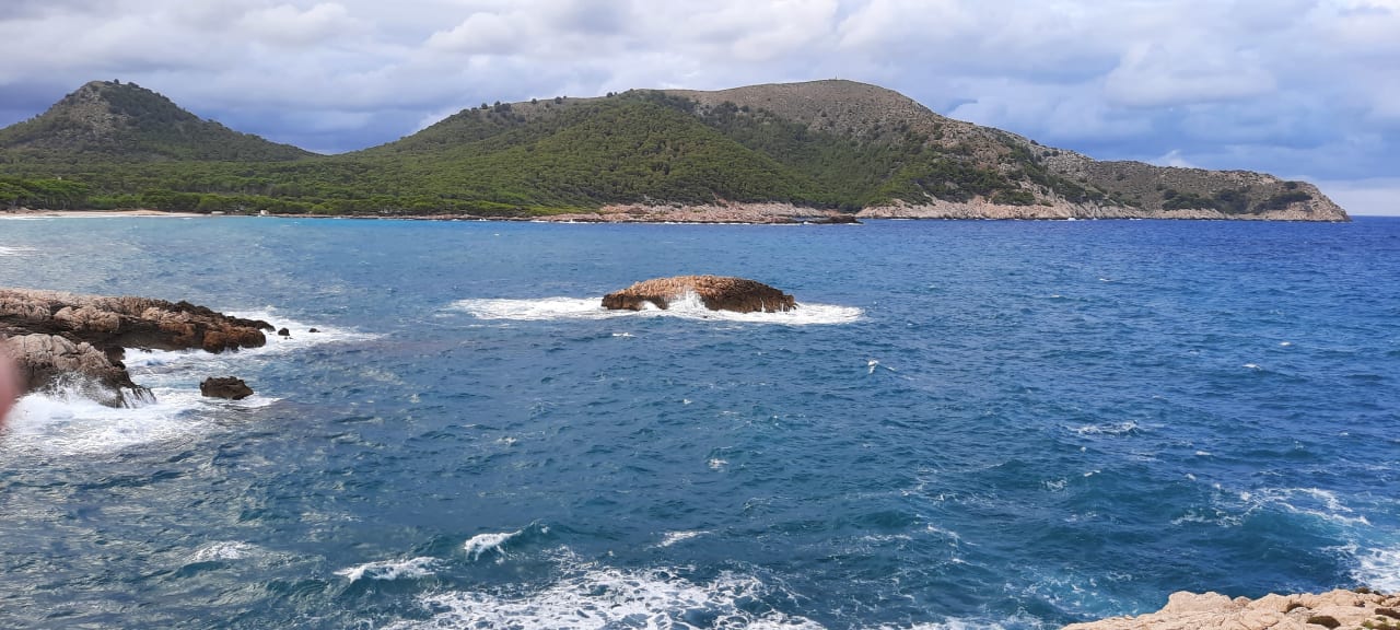 Ausblick allsun Hotel Lux de Mar