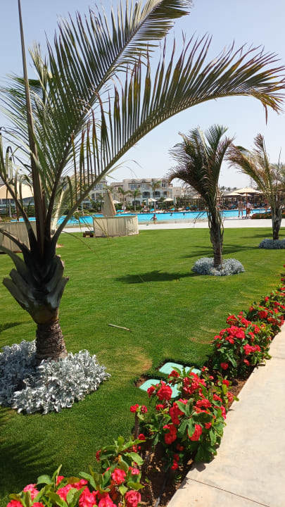 Pool Steigenberger Resort Alaya Marsa Alam - Red Sea - Adults only
