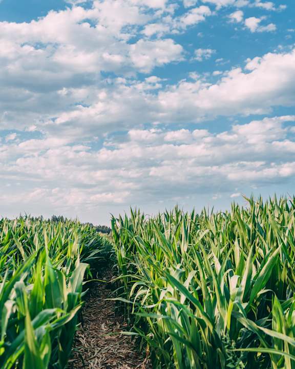 Sport & Freizeit Gut Hügle Erlebnisbauernhof