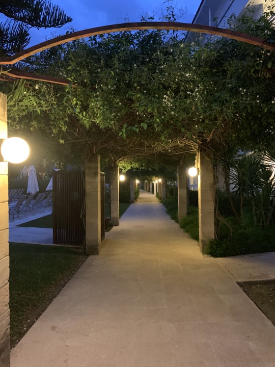 Gartenanlage Prinsotel La Dorada