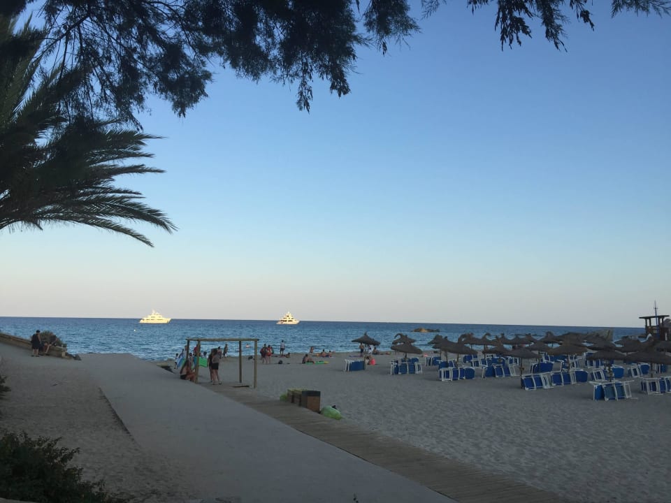 Strand direkt am Hotel Hotel Serrano Palace